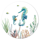 muurcirkel-zeepaardje